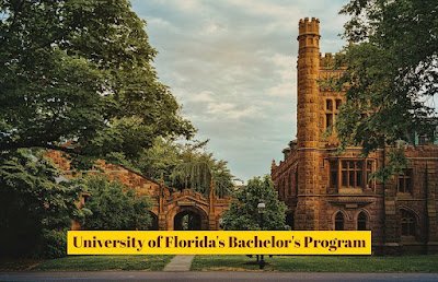 How to Get Admission in University of Florida’s Bachelor’s Program